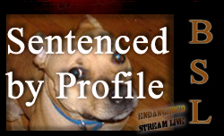 Sentenced by Profile BNR